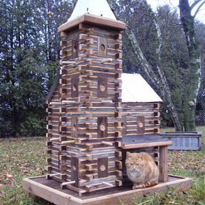 Extreme Birdhouses