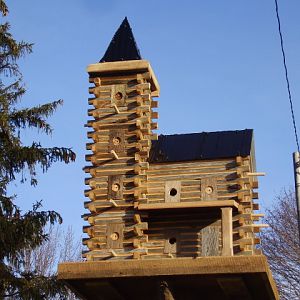 Extreme Birdhouses