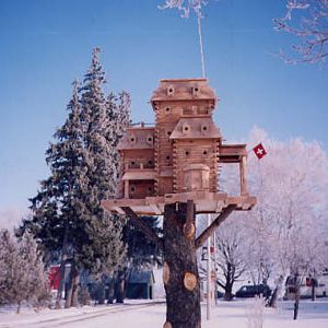extreme birdhouses  (cranbrook2)