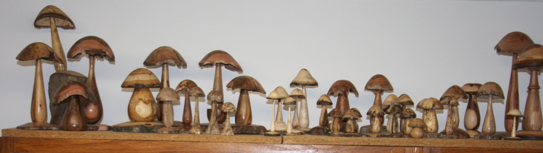 1 mushrooms - 1.jpg
