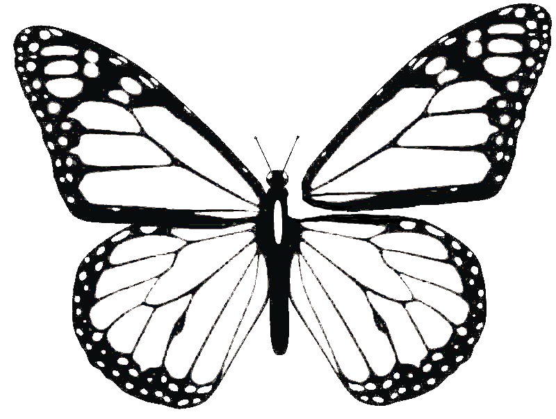 butterfly_pattern