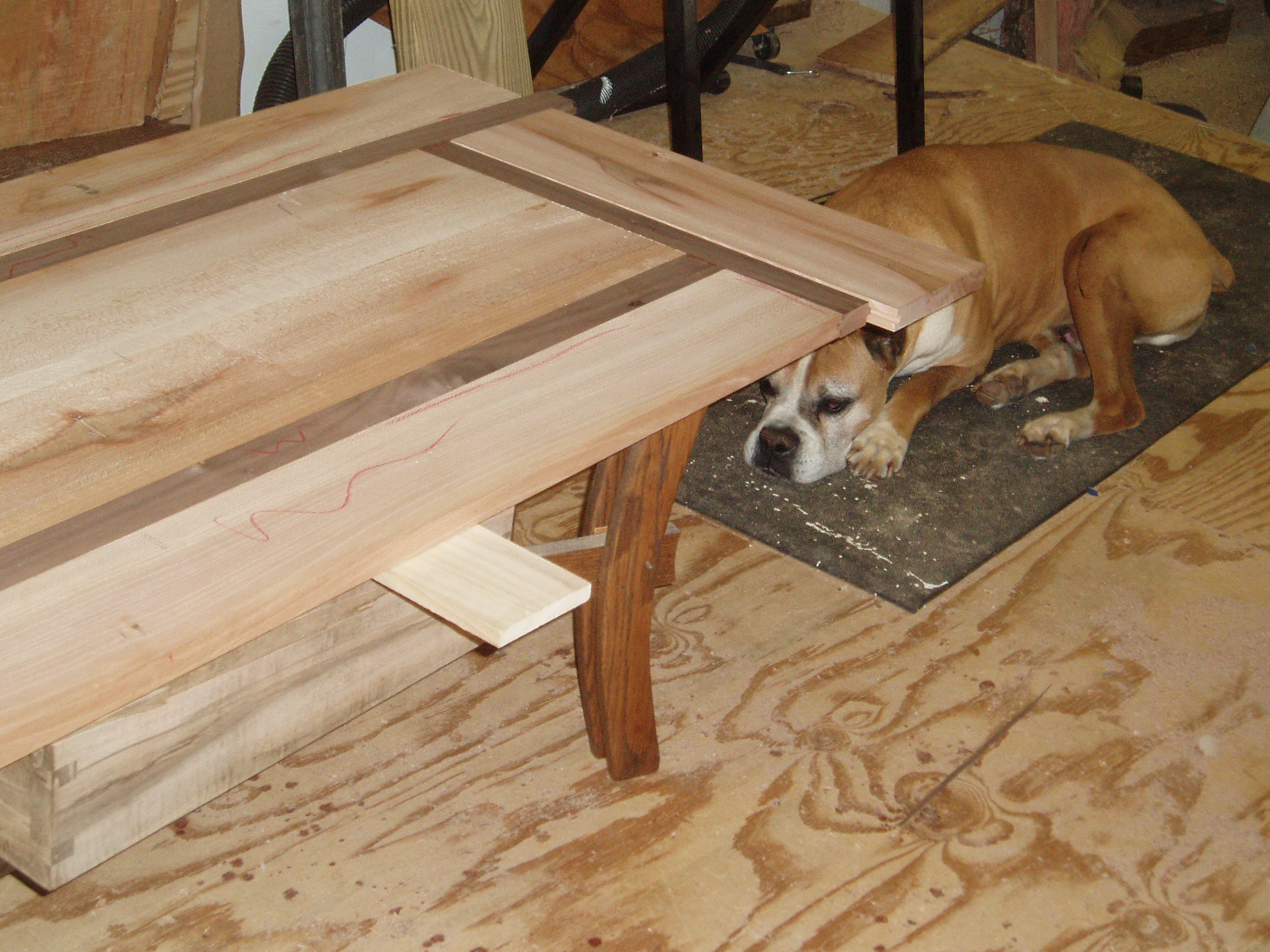 Coffee table top dry fitted plus shop pet