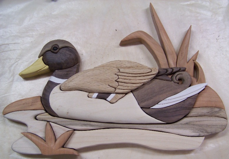 Duck Intarsia - unfinished