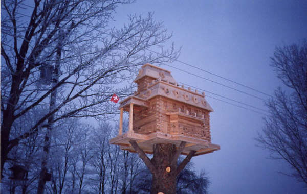 extreme birdhouses