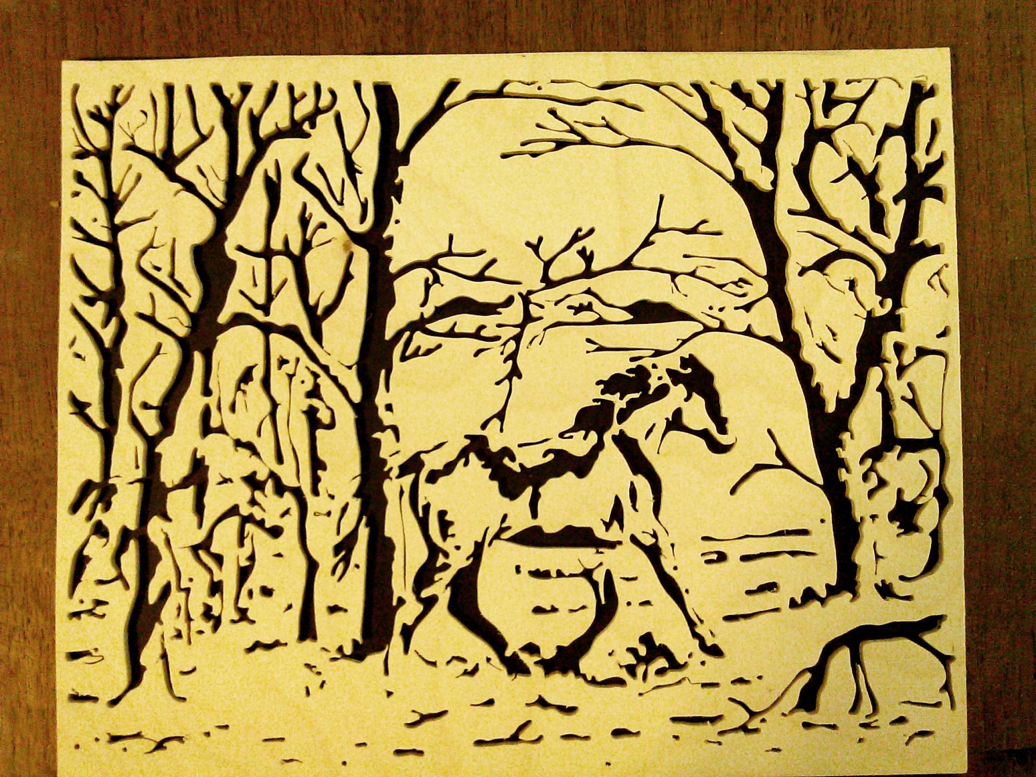 Faces in the woods