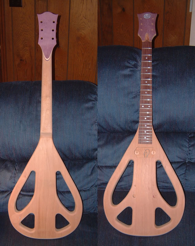 Guitar Front and Back