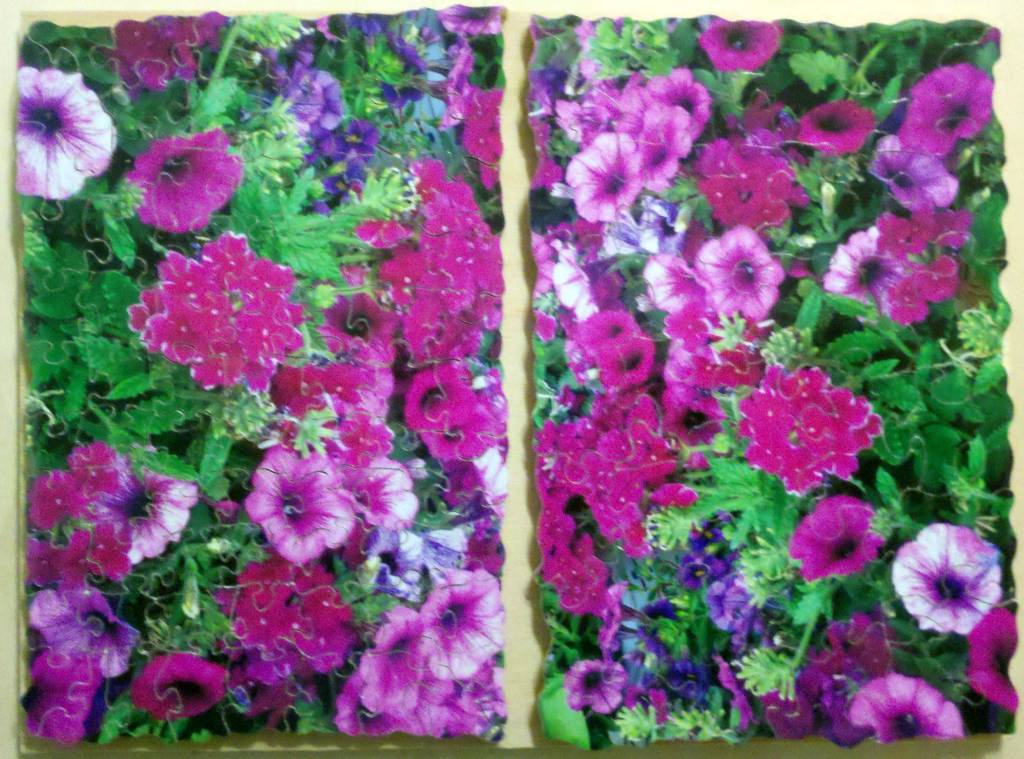 Purple flowers x 2