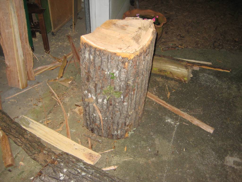 Red Oak log from Gotcha6!