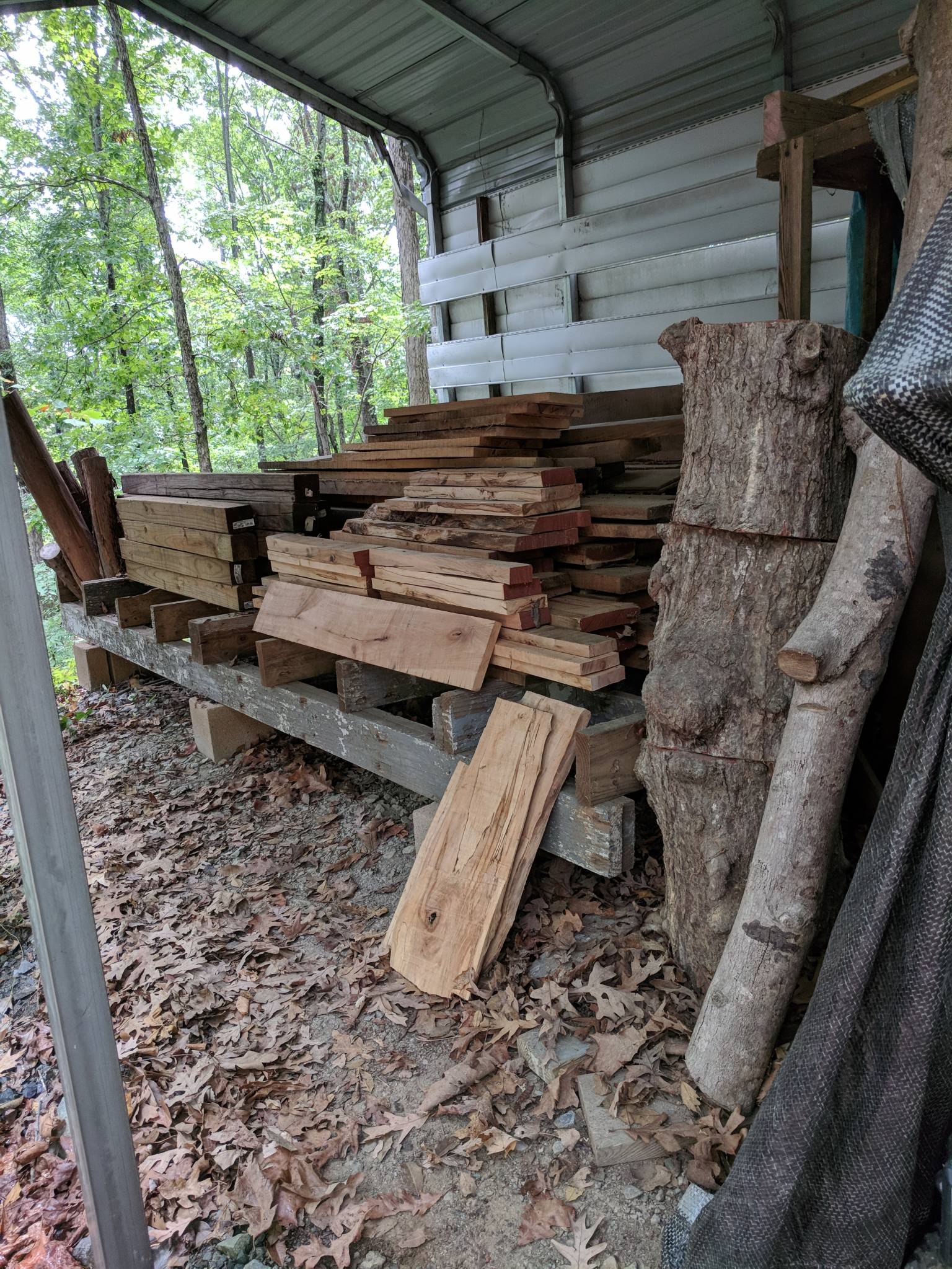 Rough_Lumber_Shelter