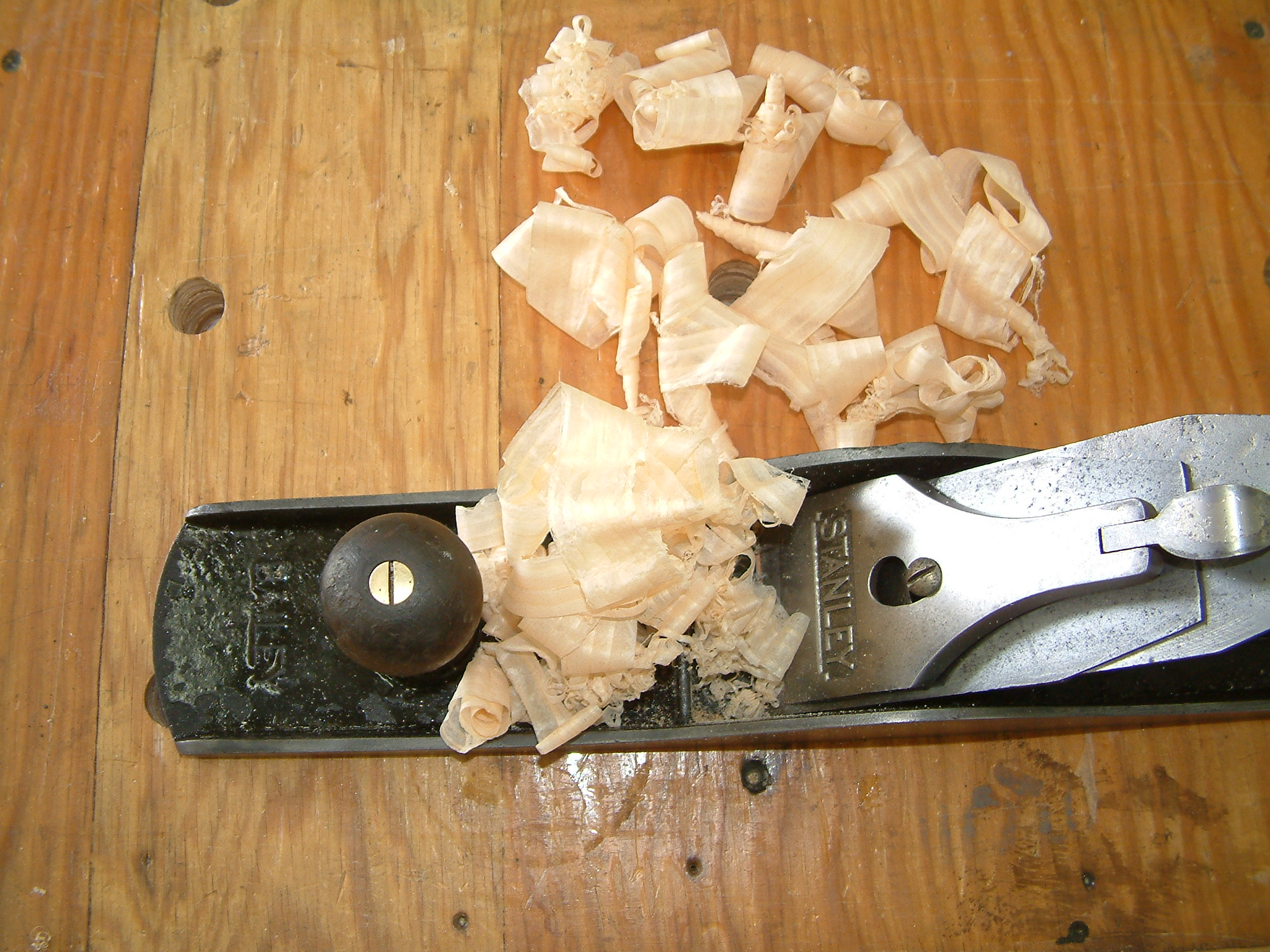 See through shavings from a piece of pine