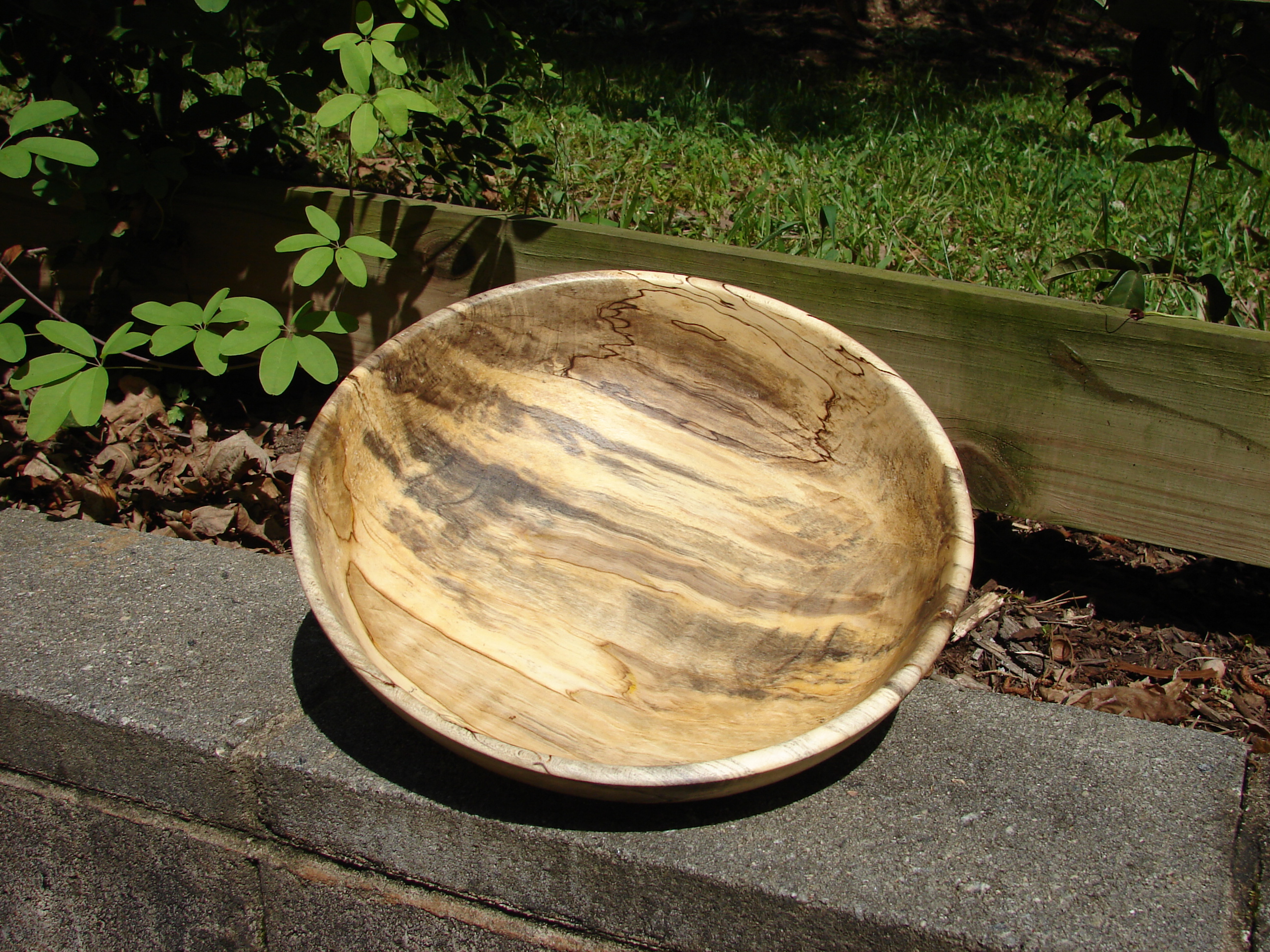 Spalted Holly bowl
