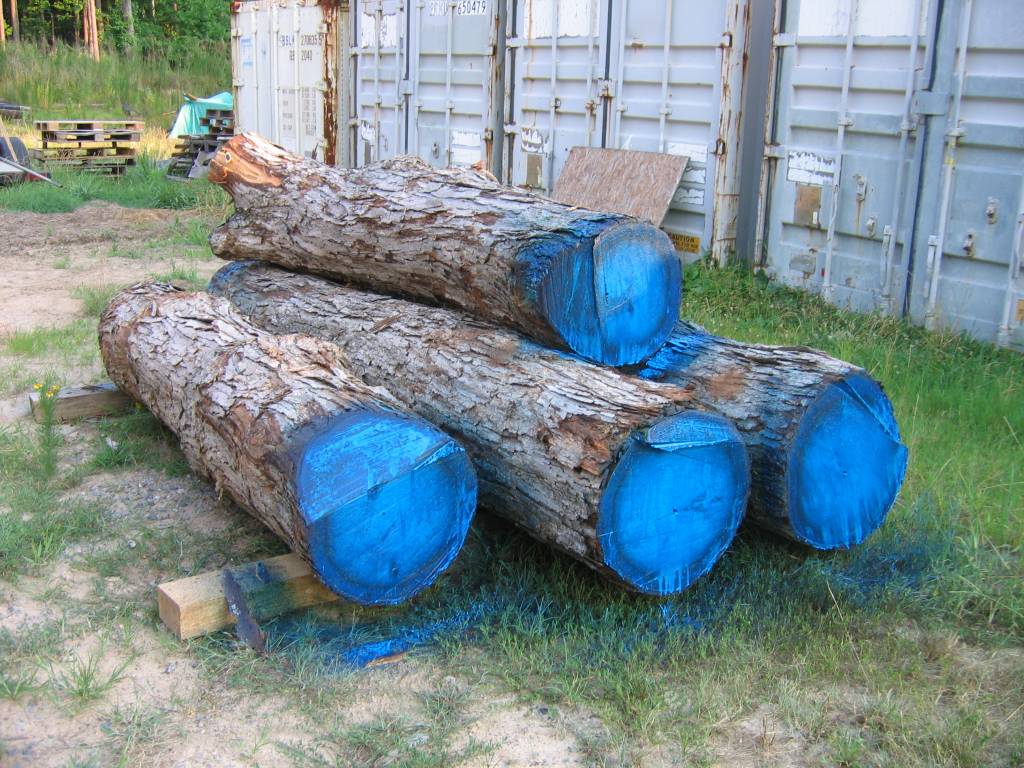 White oak logs courtesy of DaveO