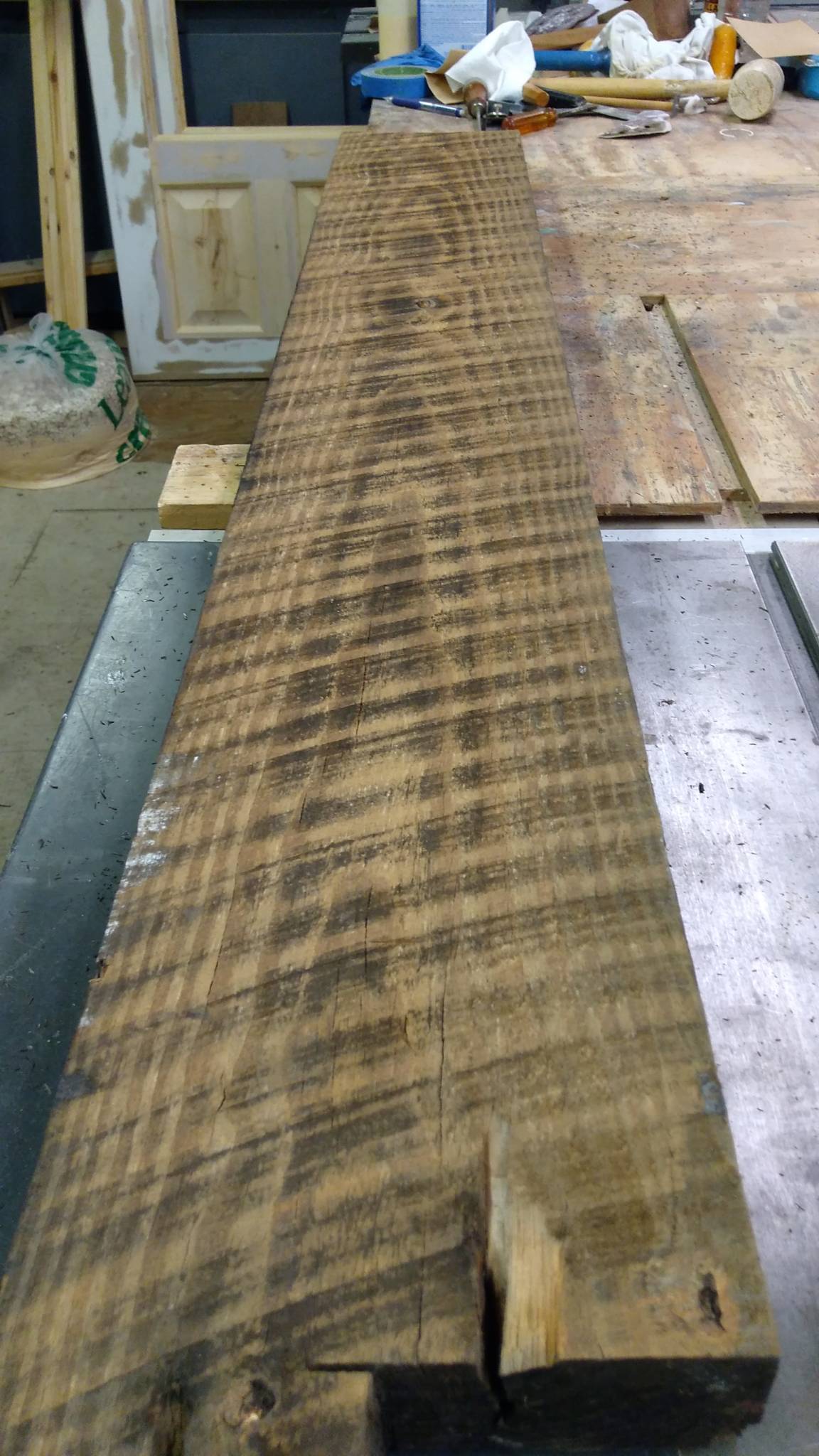 130+ year pine