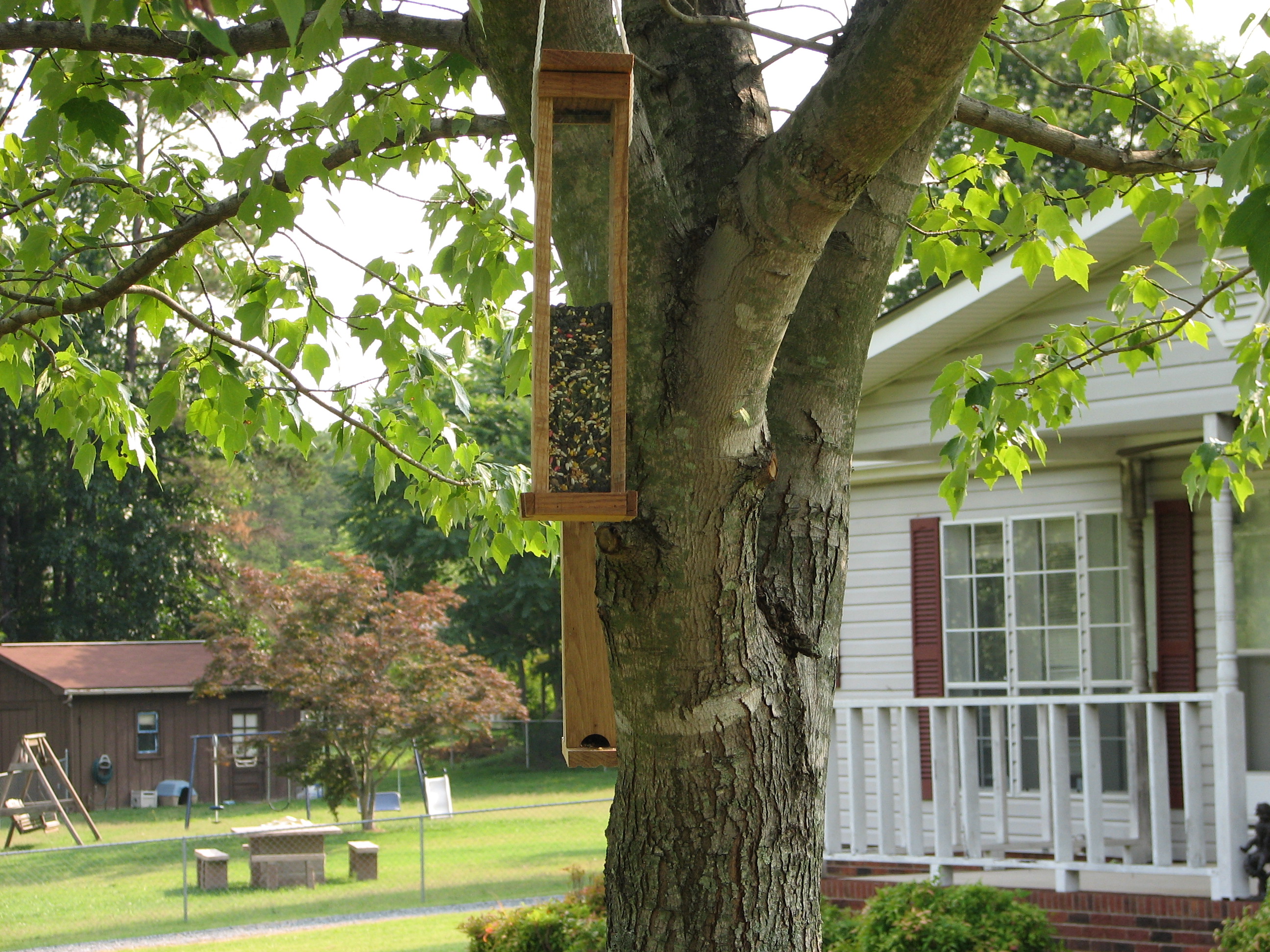 Bird Feeder #3