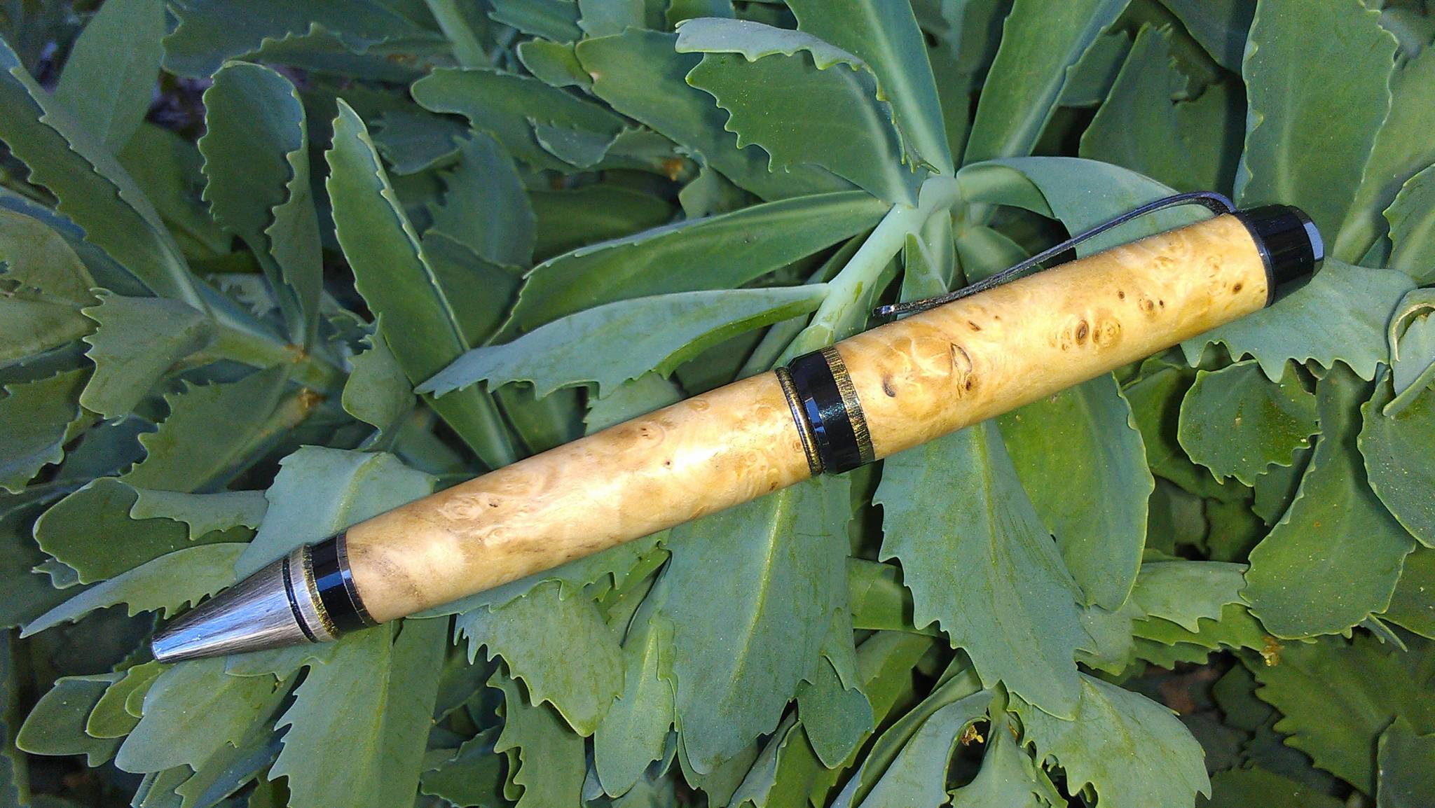 Box Elder Burl w/ Antique Brass Fittings