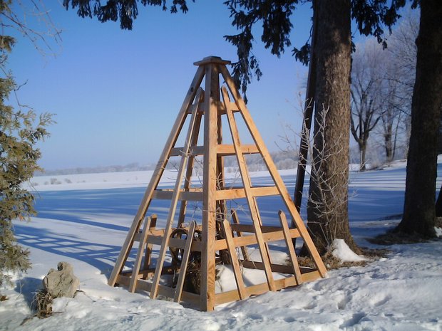 cedar obelisk