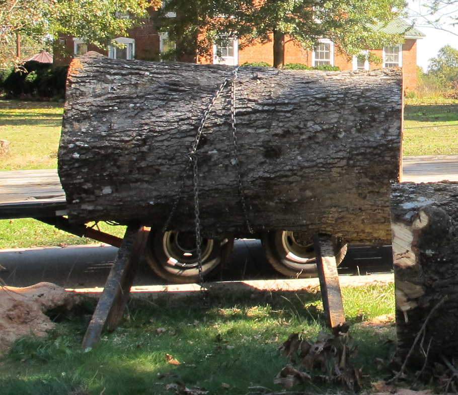 Chain rigging for parbuckling logs