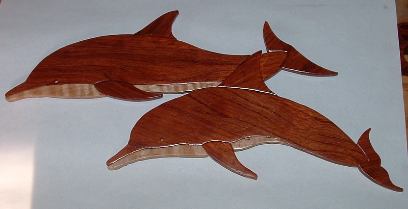 Dolphin Intarsia