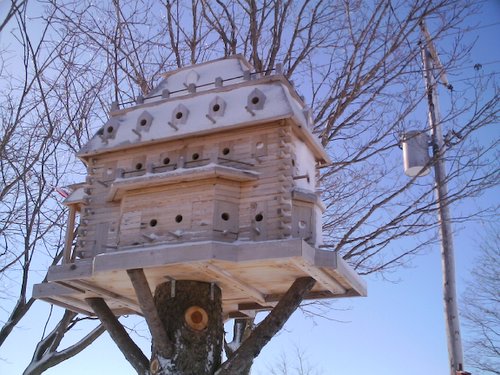 extreme birdhouses