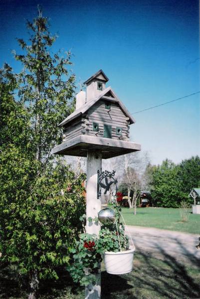 extreme birdhouses