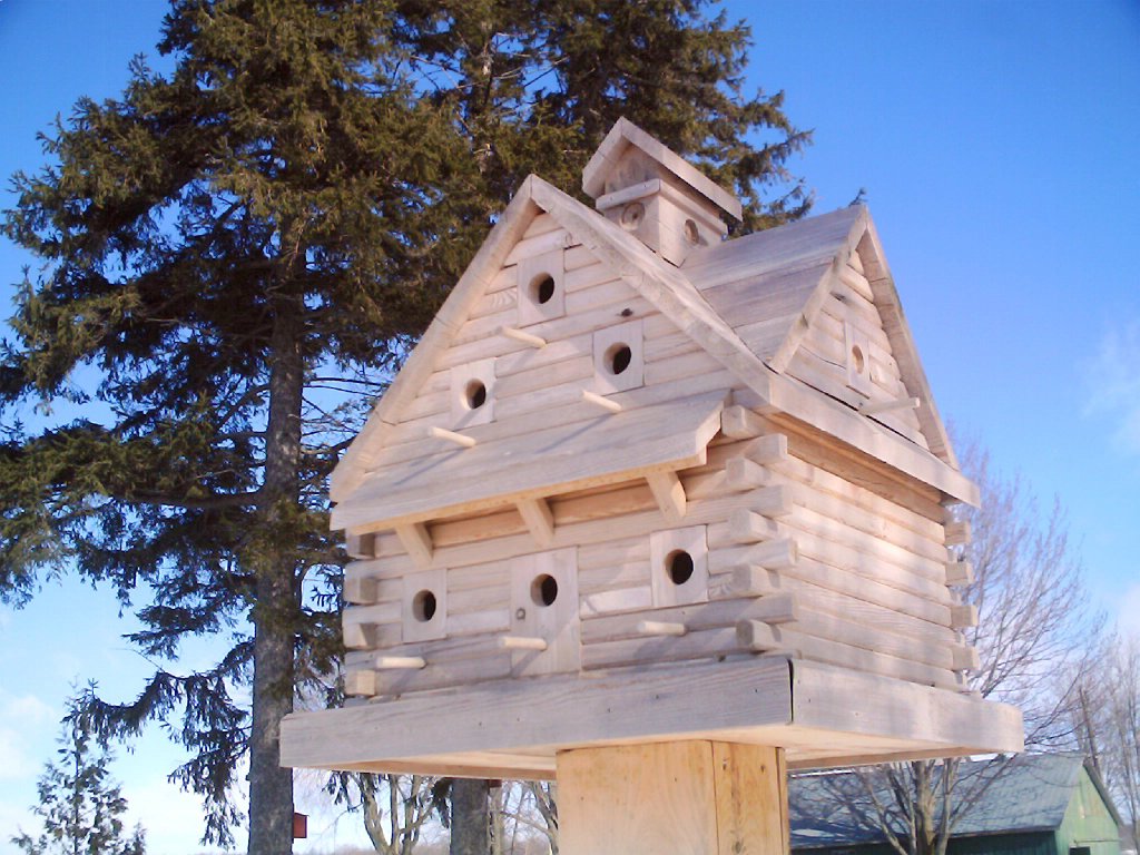 extreme birdhouses