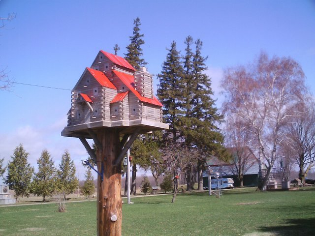 extreme birdhouses