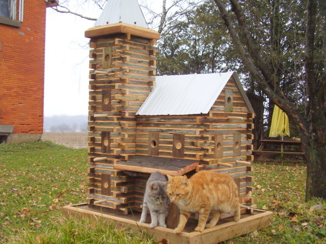 Extreme Birdhouses