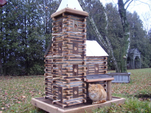 Extreme Birdhouses