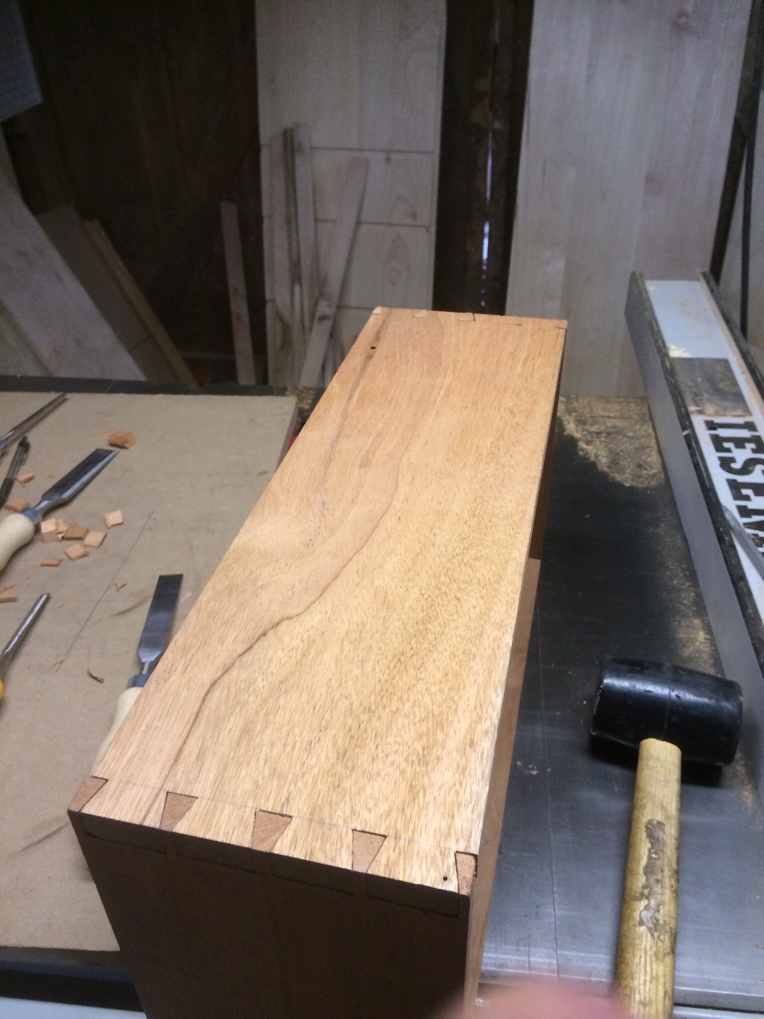 First dovetails