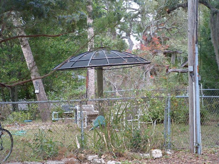 Florida umbrella