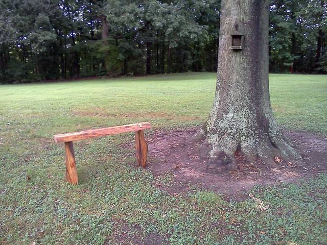 Live Edge Garden Bench