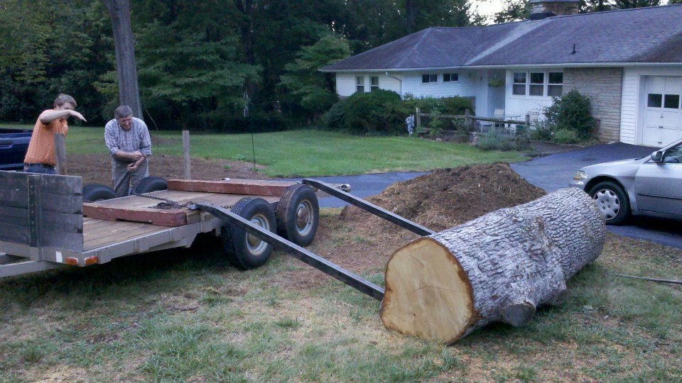 loading 1/3 logs