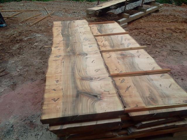 maple slabs