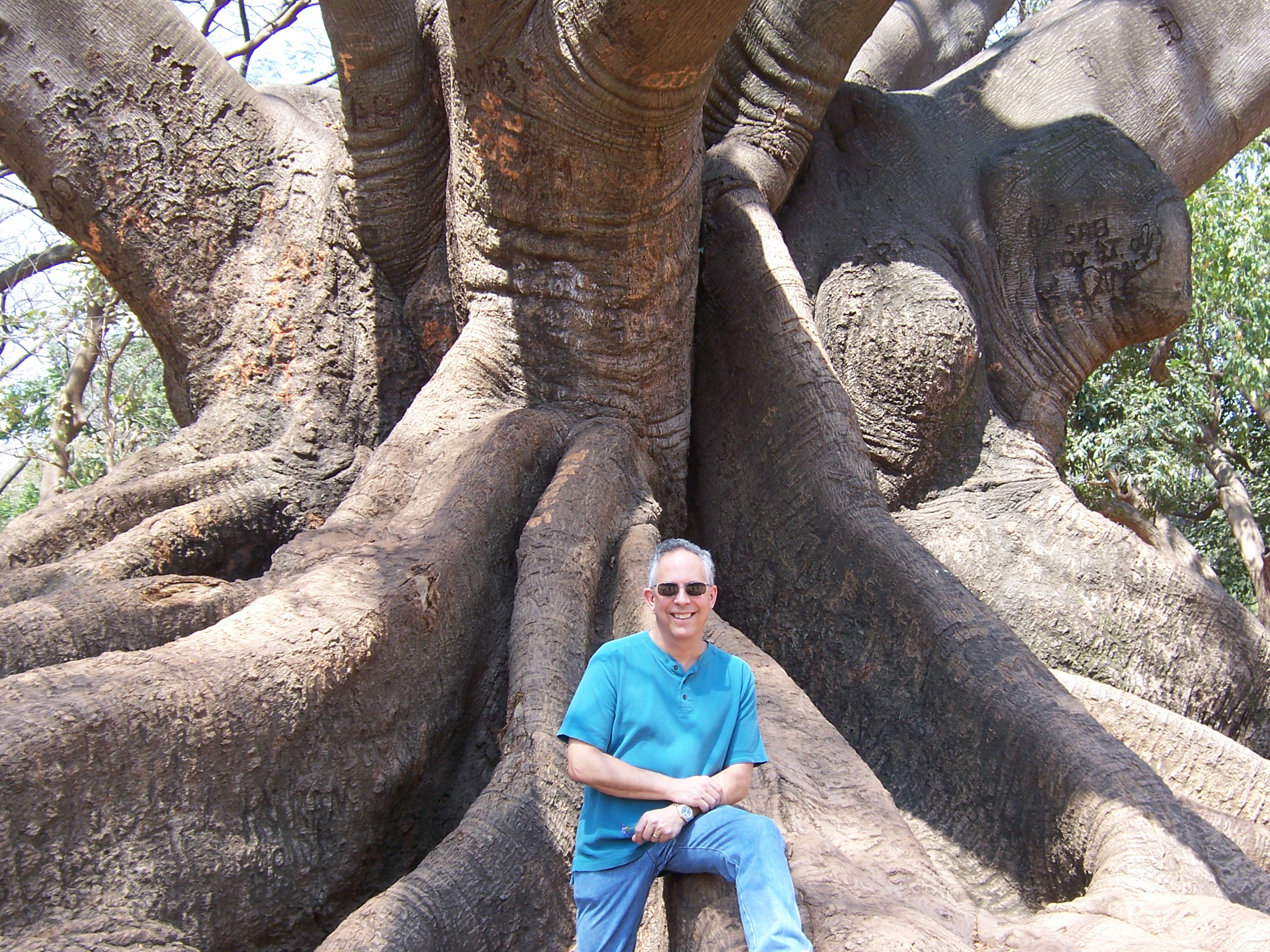 Me with a white cotton silk wood tree