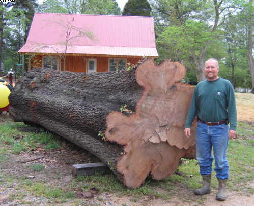 Monroe oak log