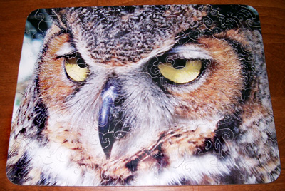 Owl Jigsaw Puzzle