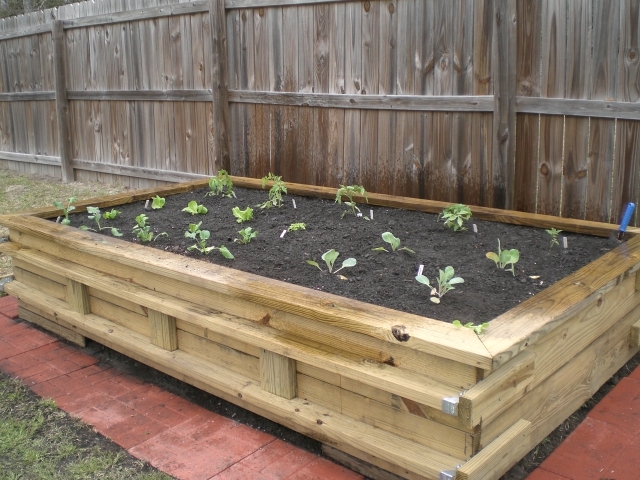 Raised Garden Bed