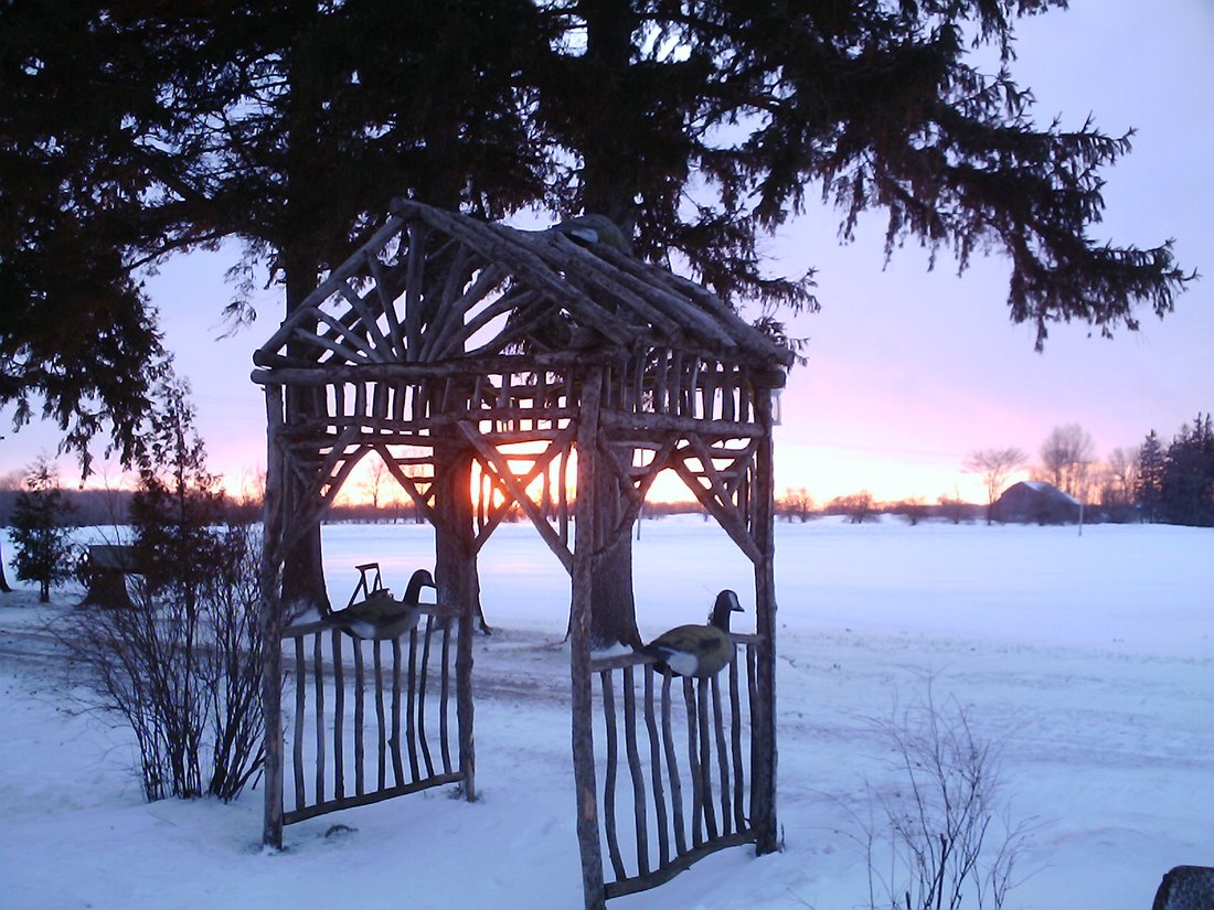 rustic arbor