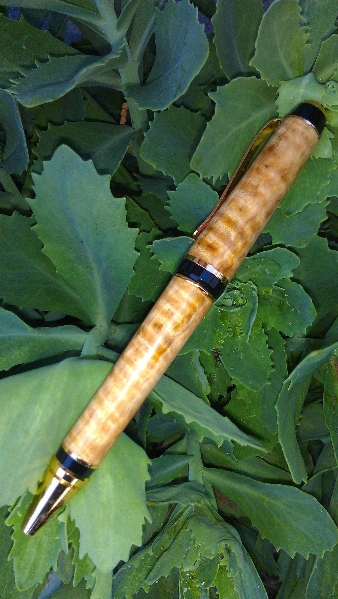 Spalted Curly Maple Cigar Pen