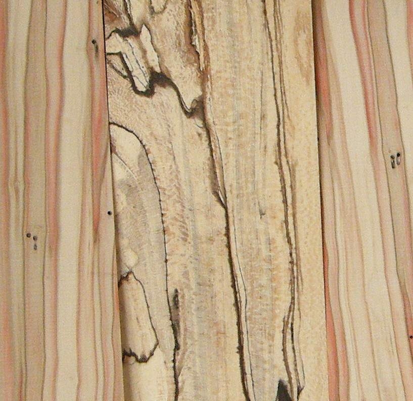 Spalted Sycamore 1