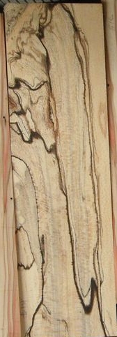 Spalted Sycamore 2