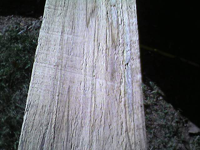 Spalted_Maple3