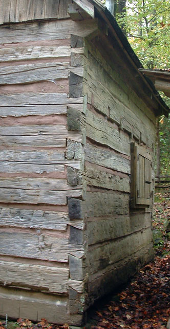 Stewart cabin dovetails