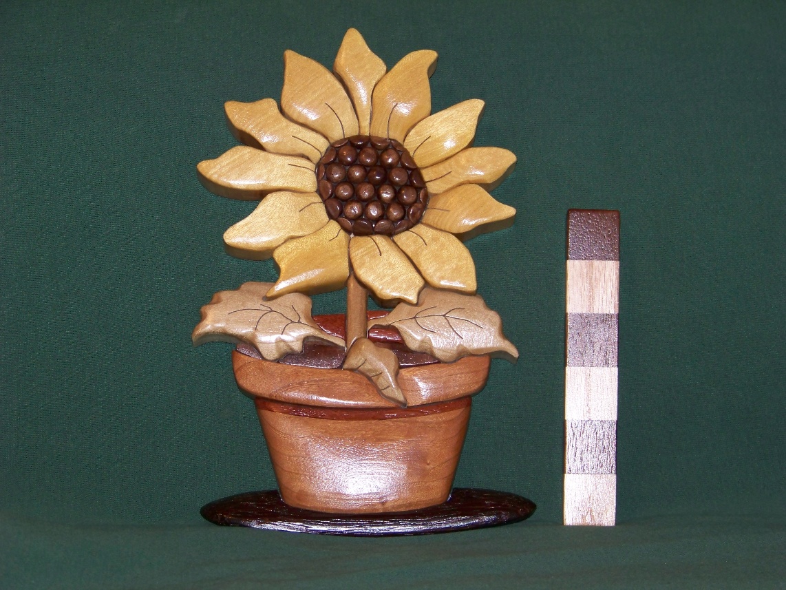 Sunflower Intarsia