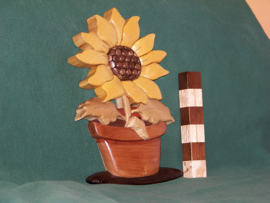 Sunflower Intarsia