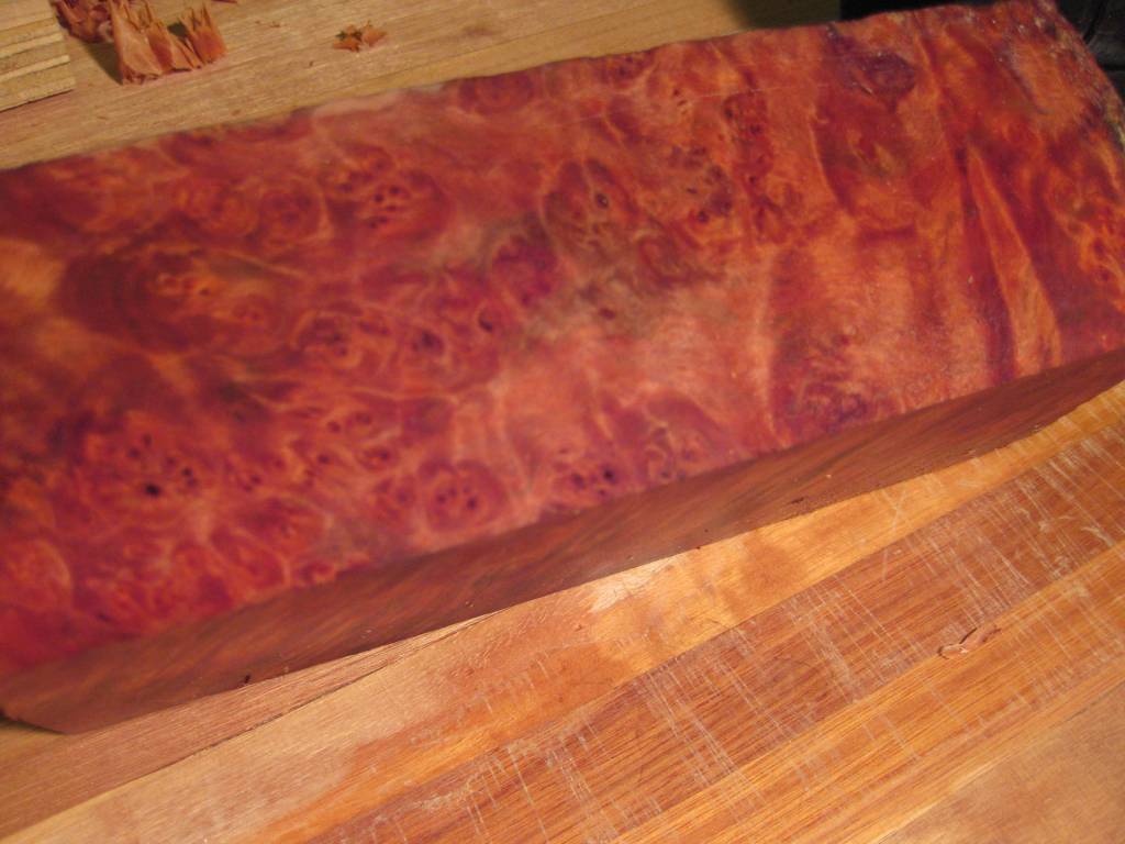 tas. myrtle burl