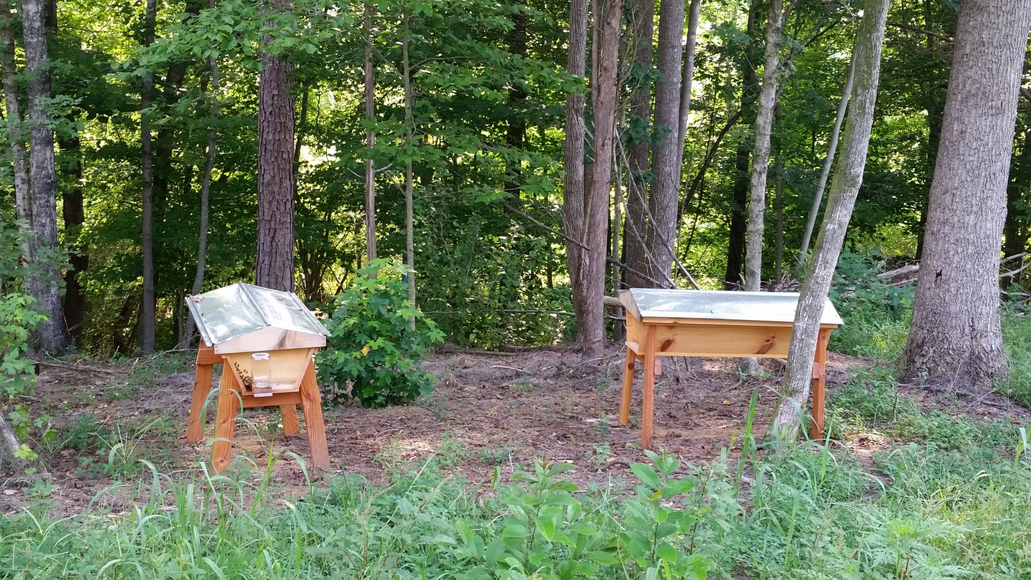 Top Bar Beehives I made