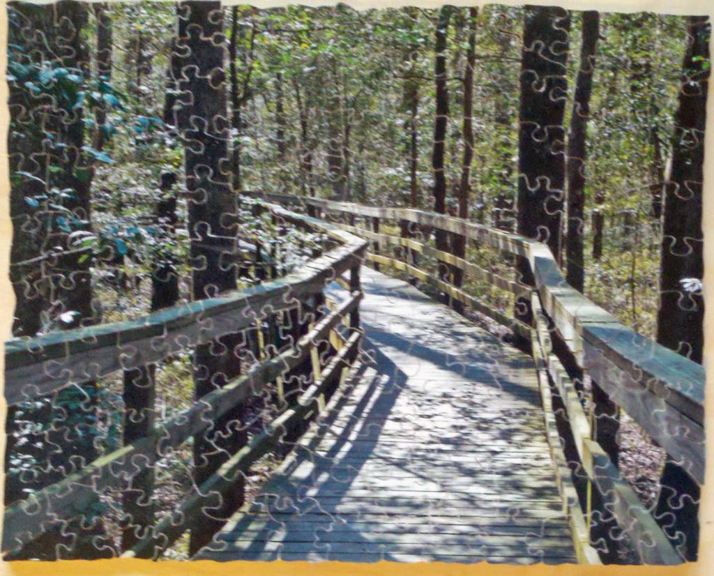 Walkway at Congaree