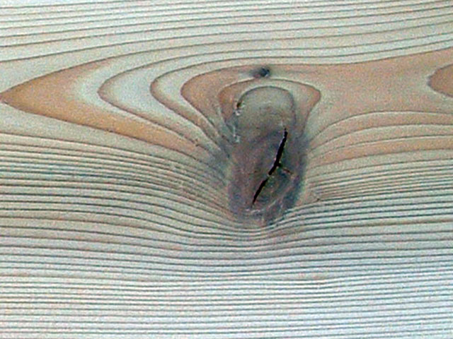 Western Cedar knot