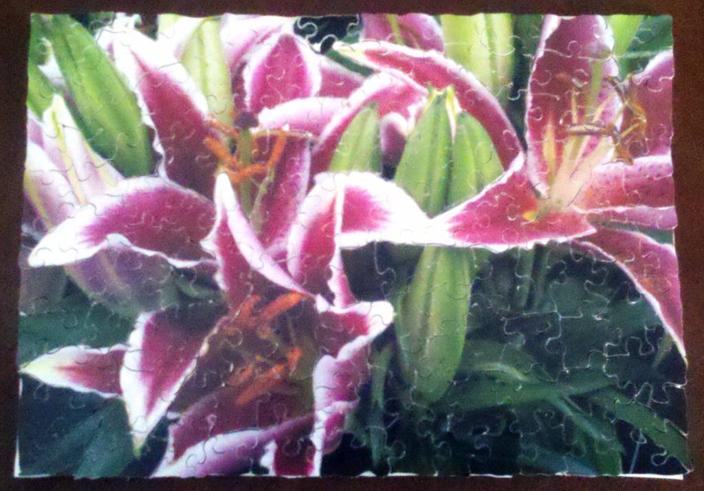 White-edged lillies